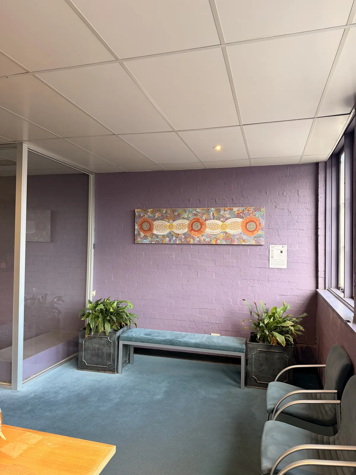 The waiting room, with a bench, plants and an artwork by Walkatjara Art